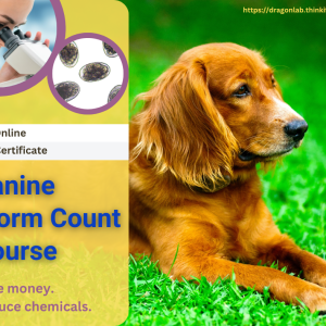 Online Canine Worm Count Course