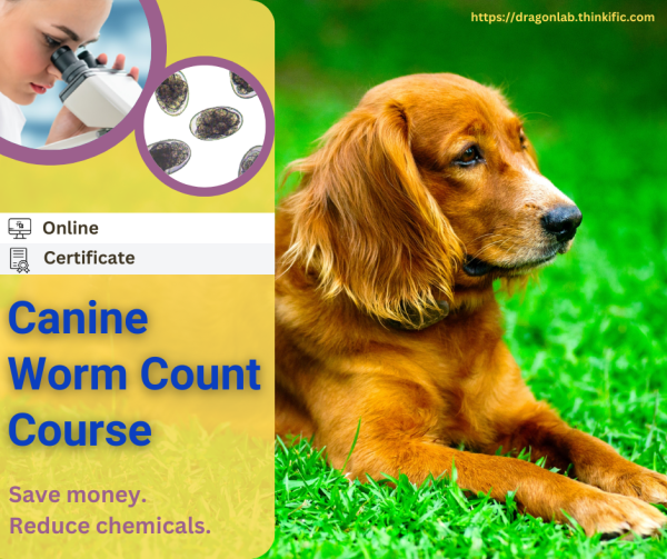 Online Canine Worm Count Course