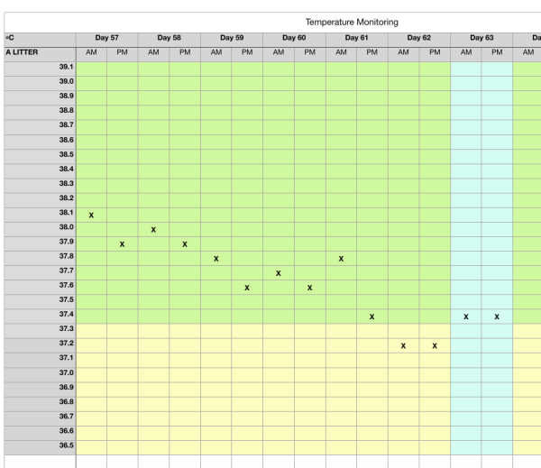 Bitch Temperature Monitoring Sheet