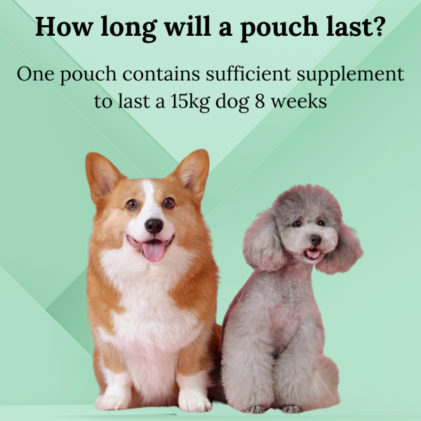 Canine Fertility Supplement (Female) - Image 6