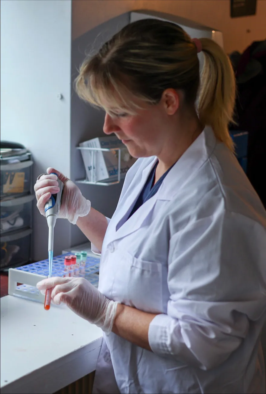 Person in white lab coat placing samples into test tubes.