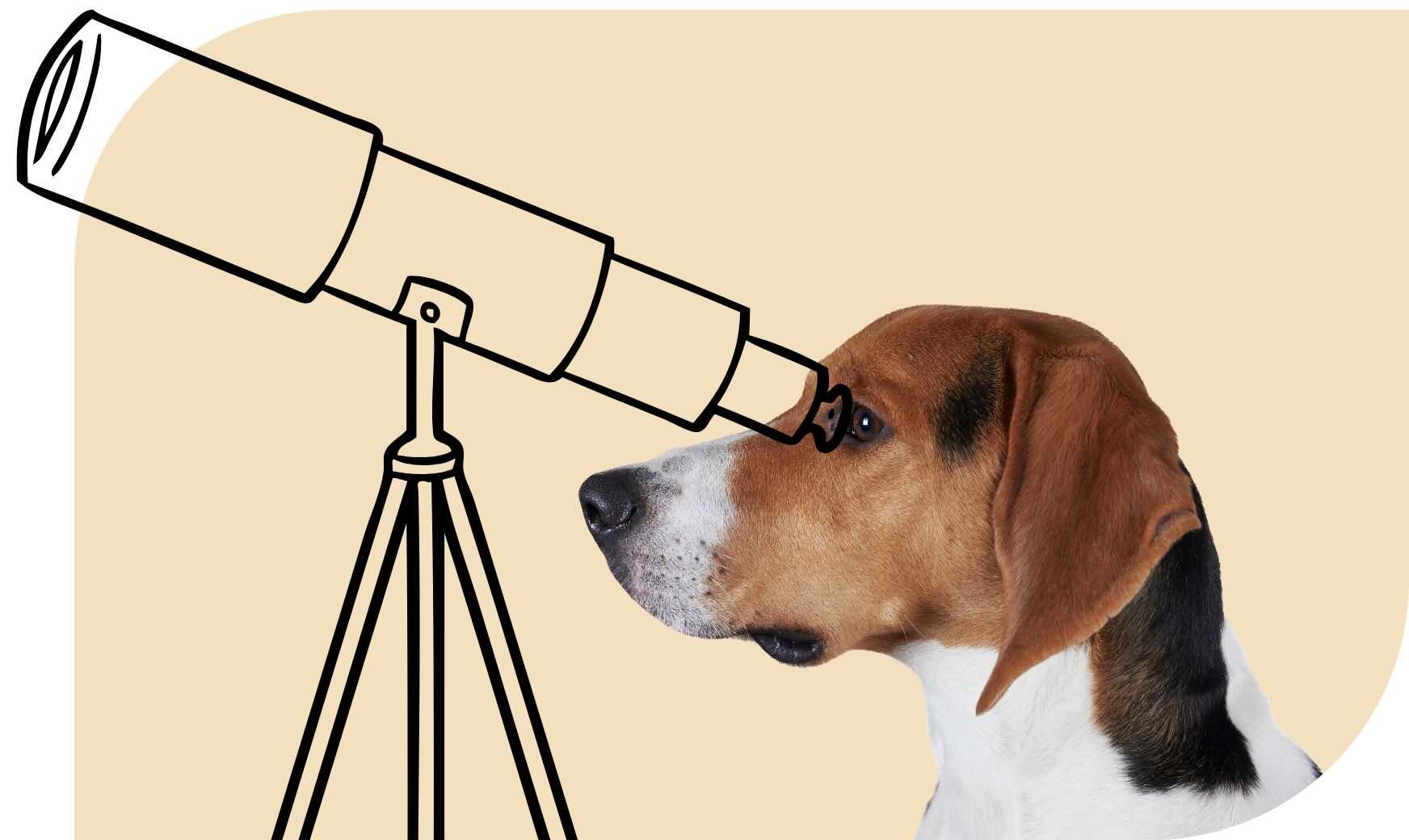 A dog looking like it is looking through an illustration of a telescope.