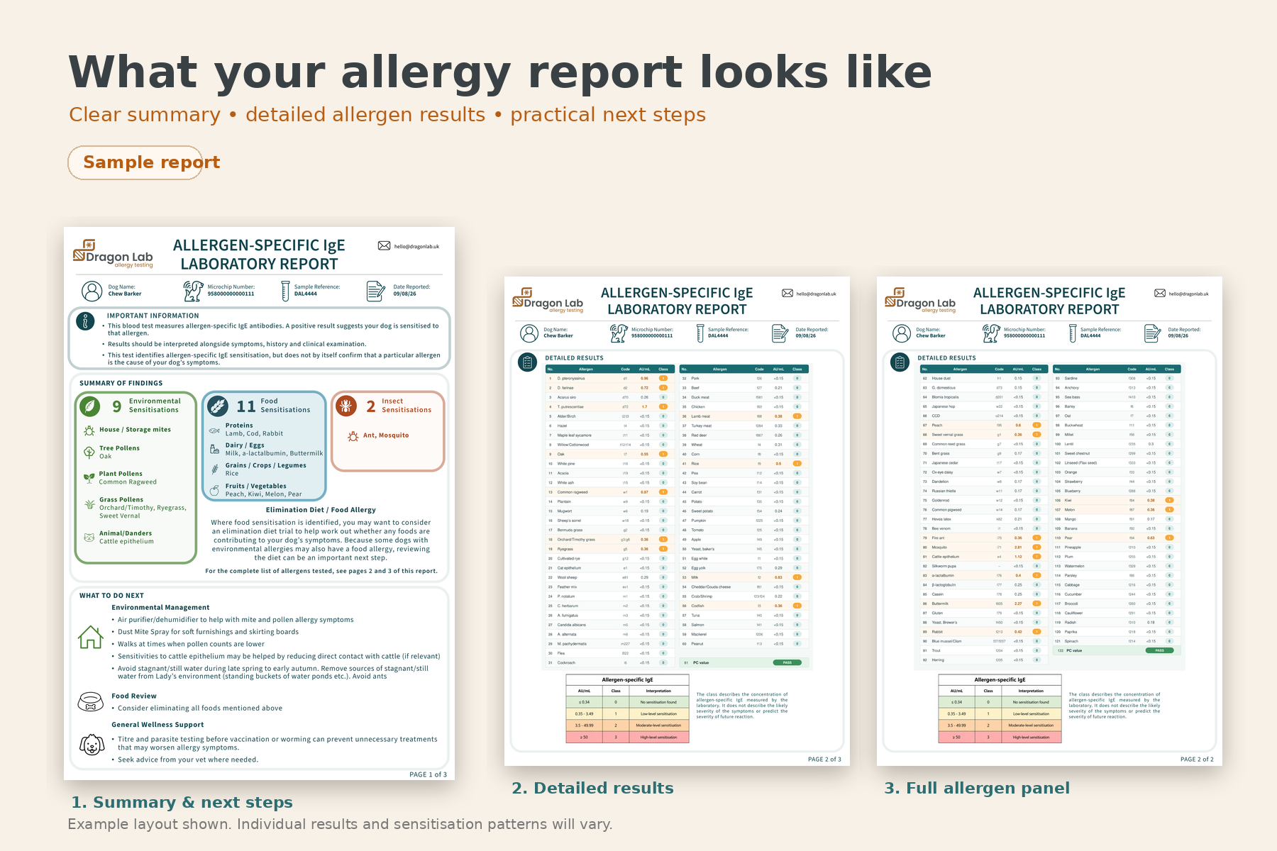 IgE Blood Dog Allergy Test - Image 3