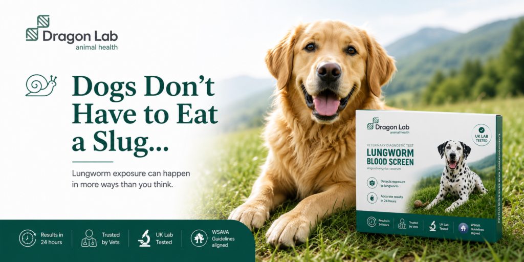 lungworm in dogs